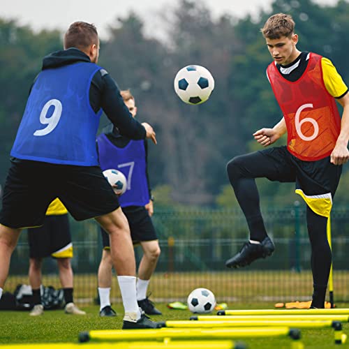 24 Pcs Nylon Mesh Pinnies with Numbers Scrimmage Jerseys for Scrimmage Vest Soccer Bibs for Youth Adult with Carry Bag